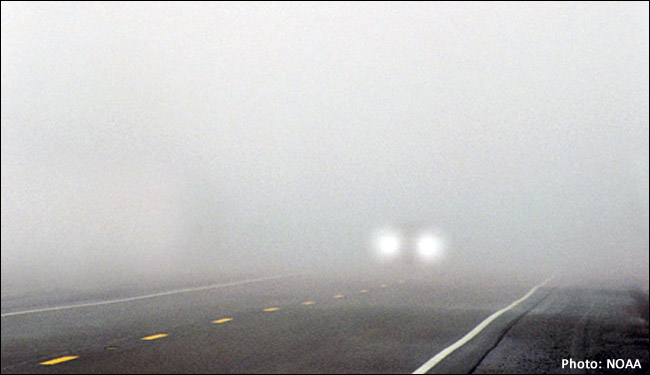 Expert Tips for Driving Safely in Fog