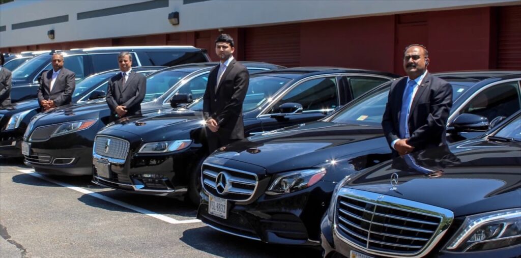 Government and VIP Vehicles