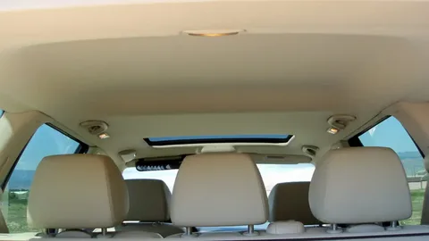 Car Sagging Roof Lining